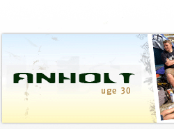 Logo Anholt uge 30 2006